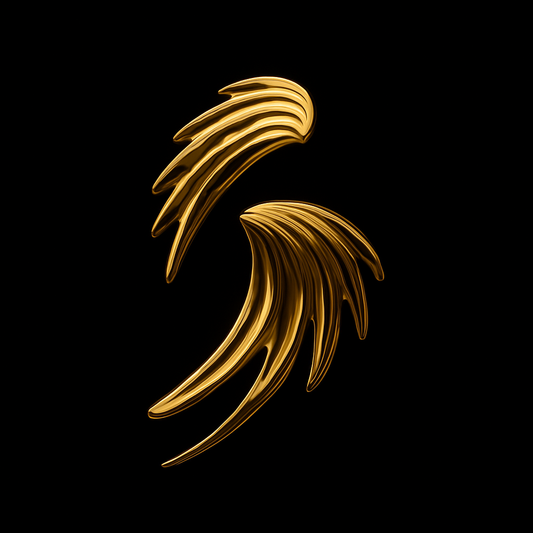 עגילי אנג'ל